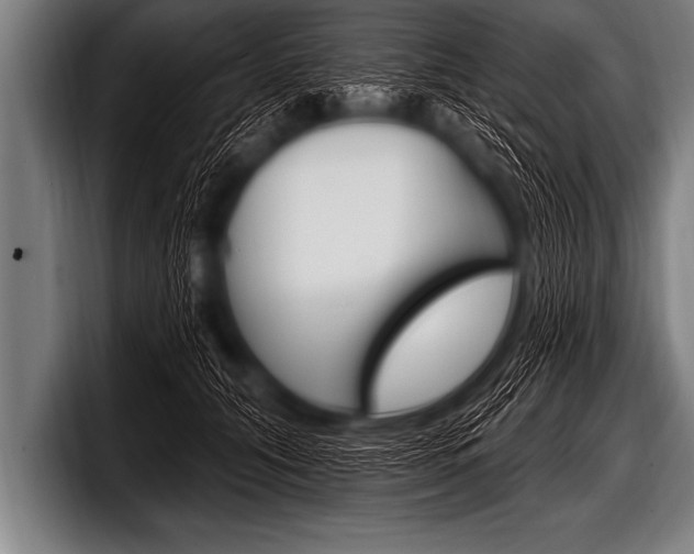 X0000098130608200804171100