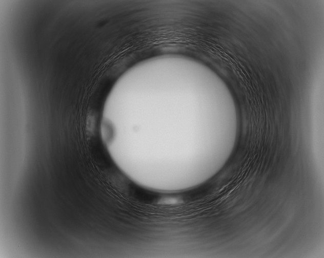 X0000098130610200804171100