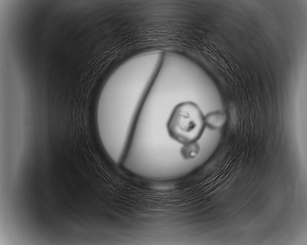 X0000098130611200804171100