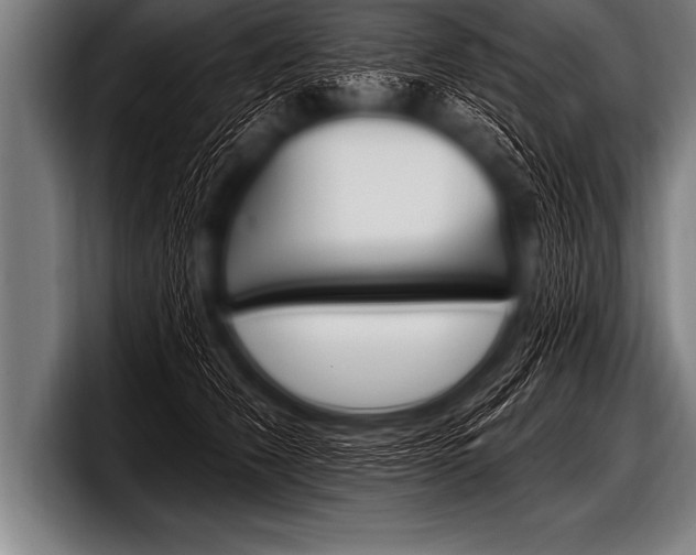 X0000098130612200804171100