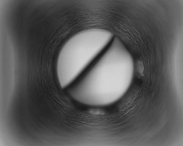 X0000098130615200804171100