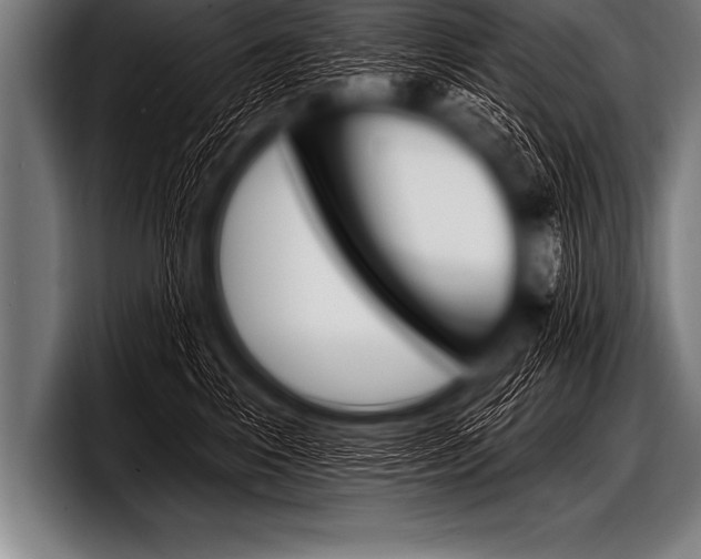 X0000098130617200804171100