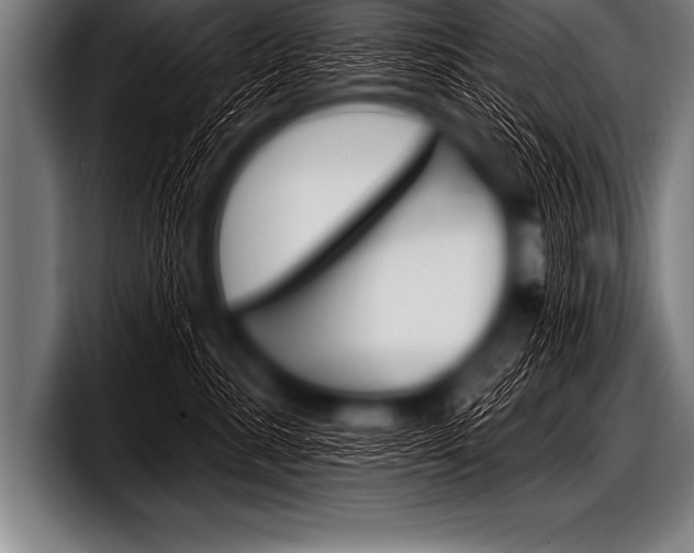 X0000098130619200804171100