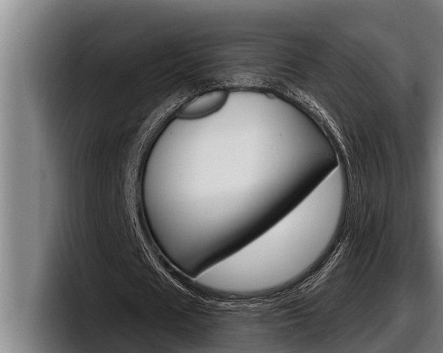 X0000098130625200804171100