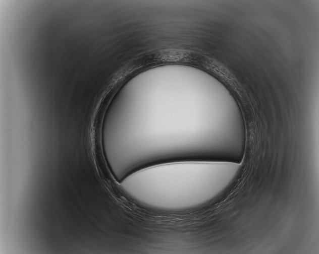 X0000098130626200804171100