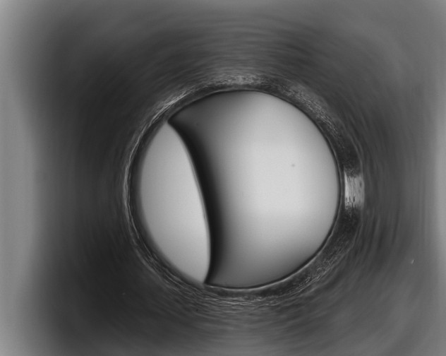 X0000098130627200804171100
