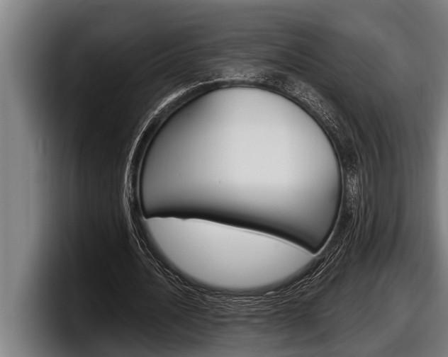 X0000098130628200804171100