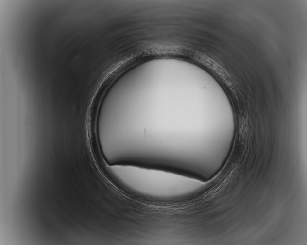 X0000098130629200804171100