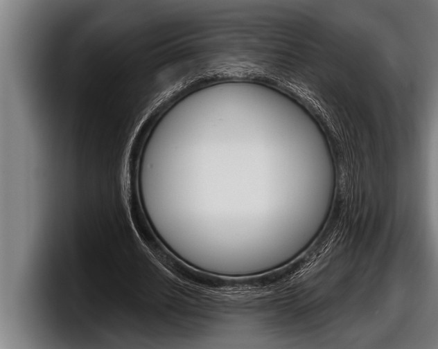 X0000098130630200804171100