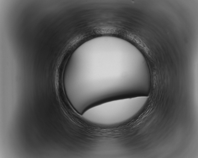 X0000098130631200804171100