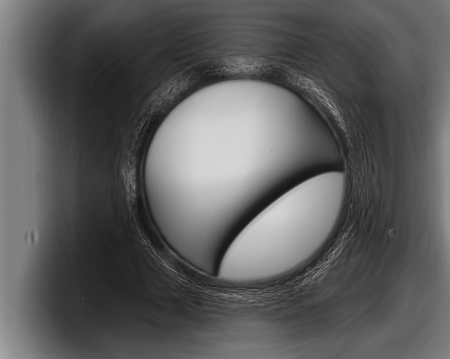 X0000098130633200804171100
