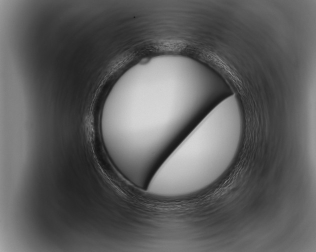 X0000098130634200804171100