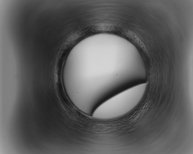 X0000098130635200804171100