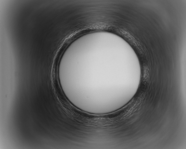 X0000098130636200804171100
