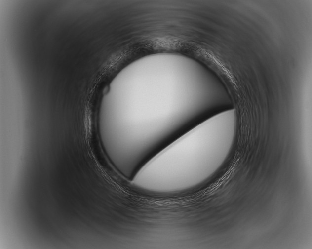 X0000098130637200804171100