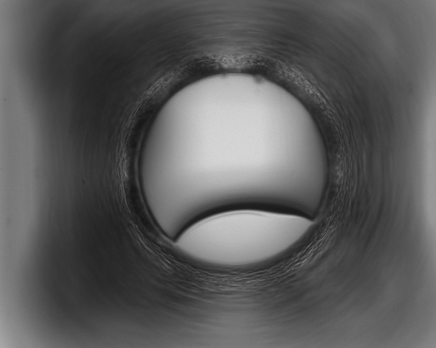 X0000098130639200804171100