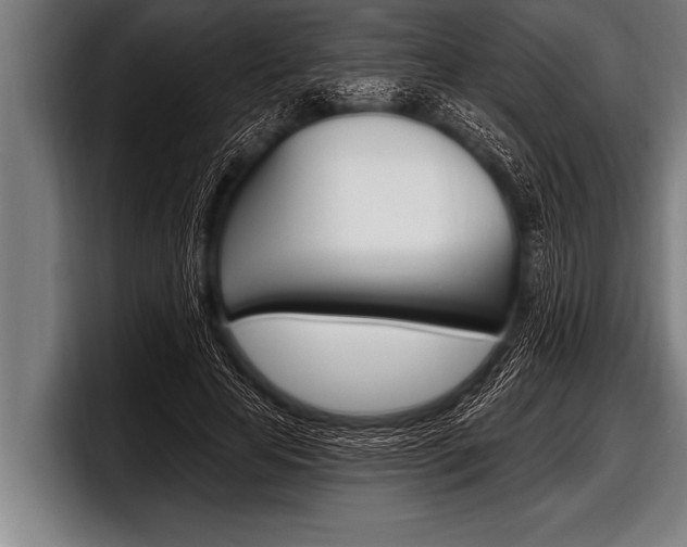 X0000098130641200804171100