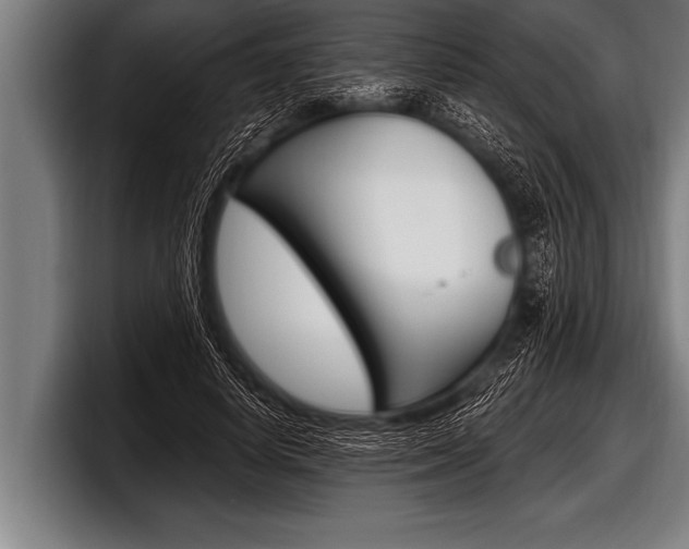X0000098130642200804171100