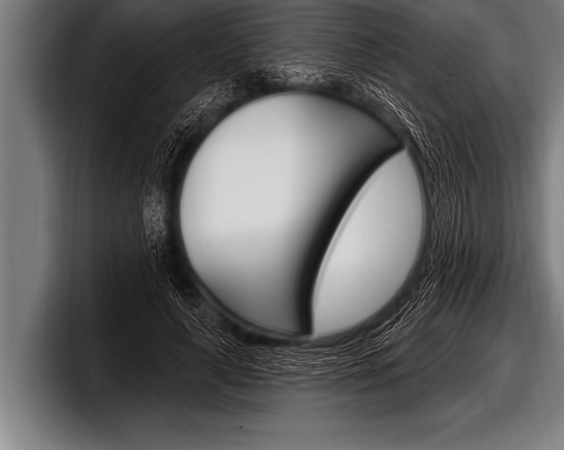 X0000098130643200804171100