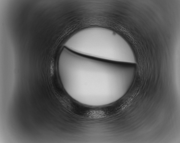 X0000098130644200804171100