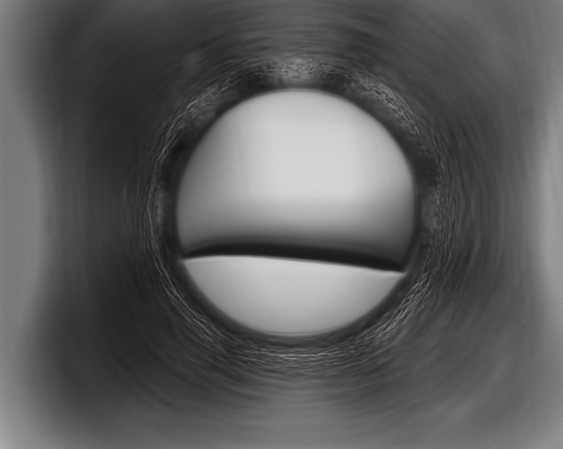 X0000098130645200804171100