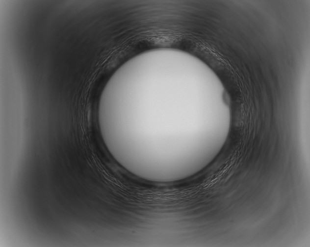 X0000098130646200804171100