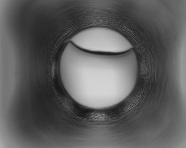 X0000098130648200804171100
