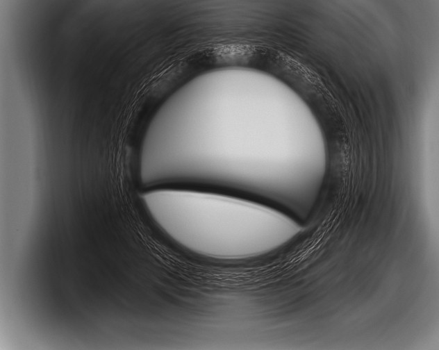 X0000098130649200804171100