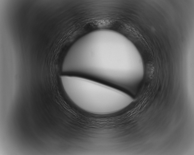 X0000098130650200804171100