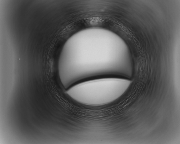 X0000098130651200804171100