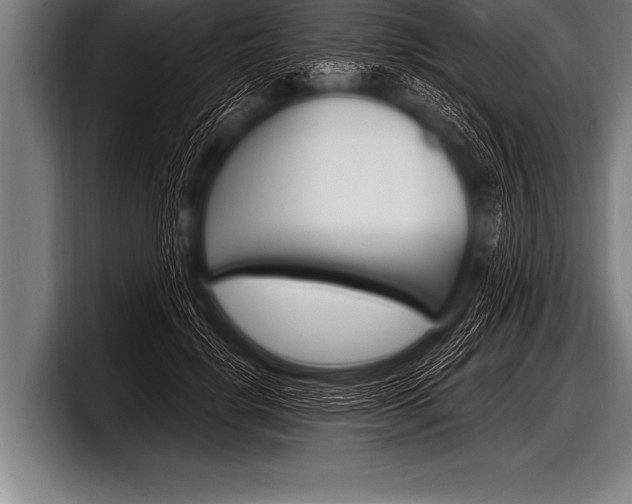 X0000098130652200804171100