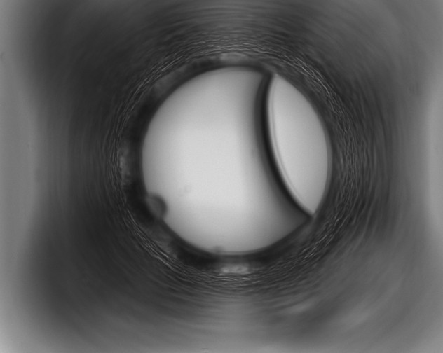 X0000098130653200804171100