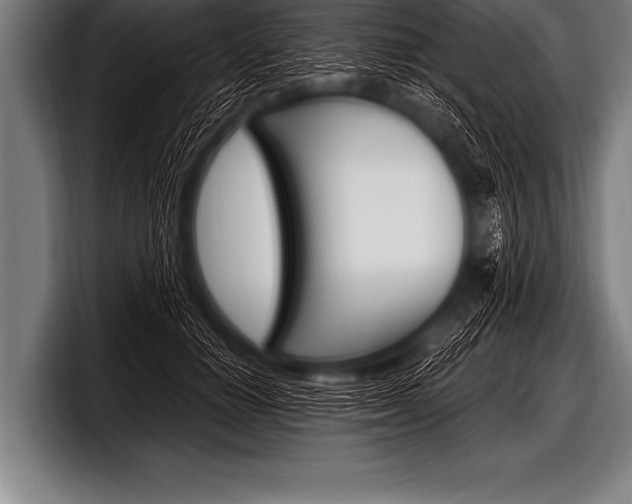 X0000098130654200804171100