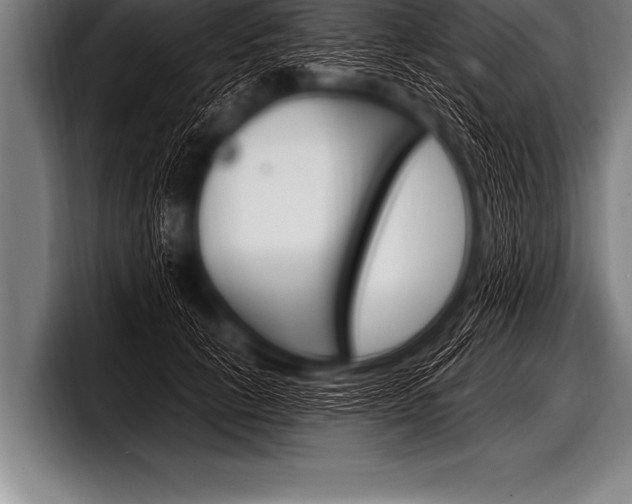 X0000098130657200804171100