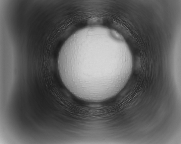 X0000098130659200804171100