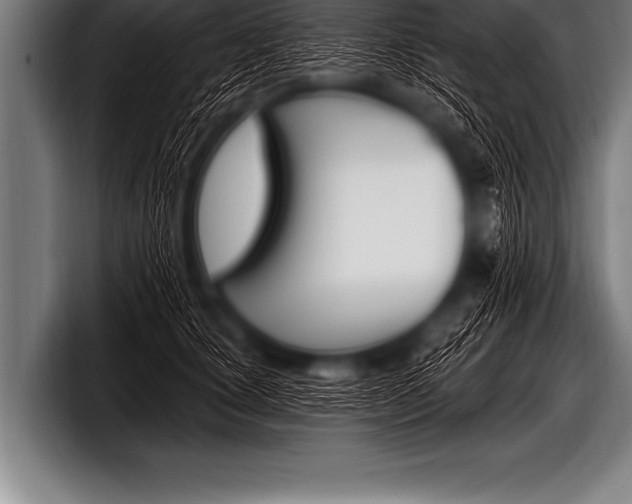 X0000098130660200804171100