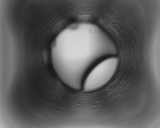 X0000098130661200804171100