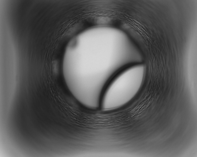 X0000098130665200804171100