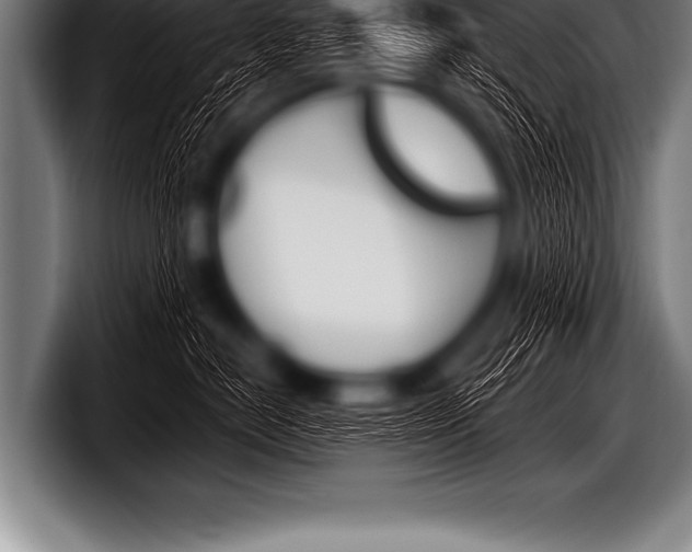 X0000098130670200804171100