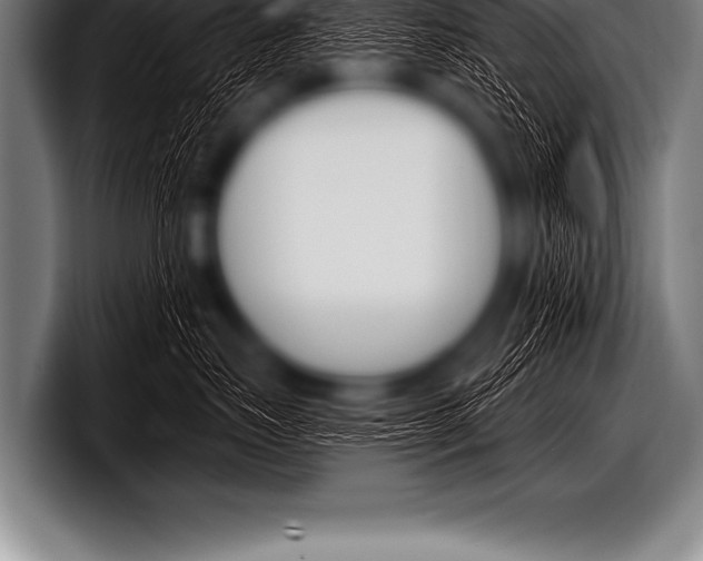 X0000098130671200804171100