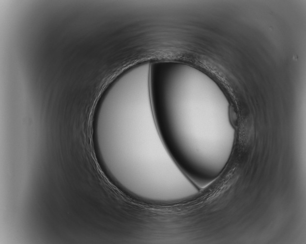 X0000098130673200804171100