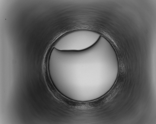 X0000098130674200804171100