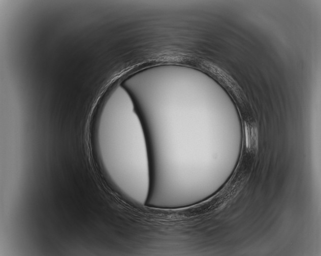 X0000098130675200804171100