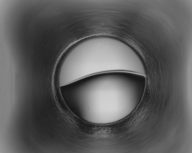 X0000098130676200804171100