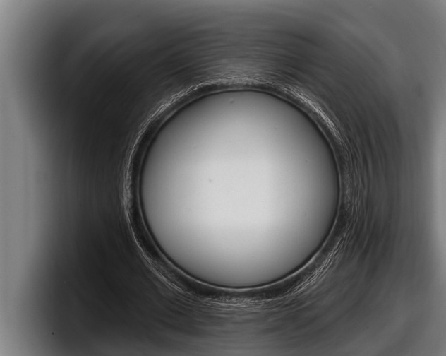 X0000098130677200804171059