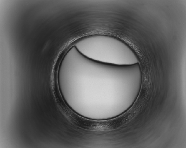 X0000098130678200804171059