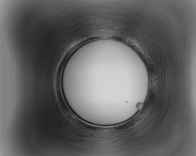 X0000098130679200804171059