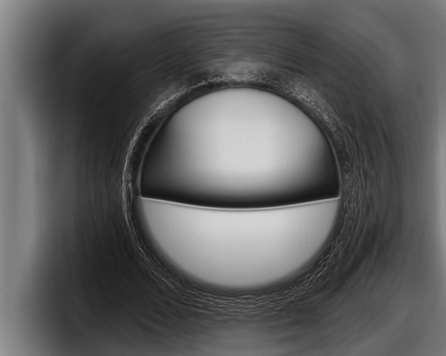 X0000098130680200804171059