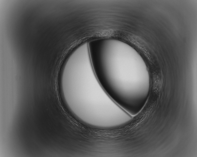 X0000098130681200804171059
