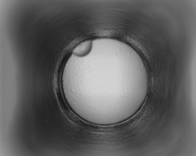 X0000098130682200804171059